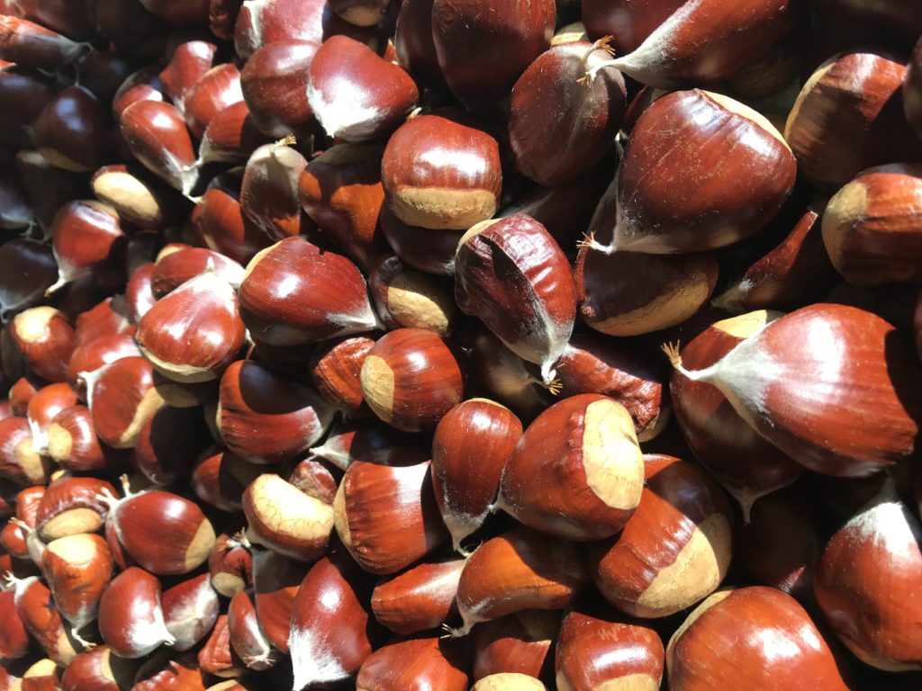 Buy Chestnuts Northwest Chestnuts