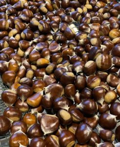 A photo of a large pile of sweet chestnuts, drying on a mesh rack after having been washed